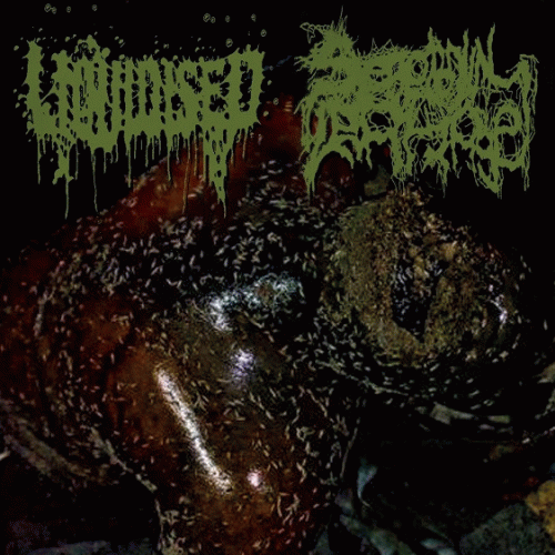 Serotonin Leakage : Liquidised - Serotonin Leakage